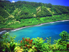 Summer wallpapers63